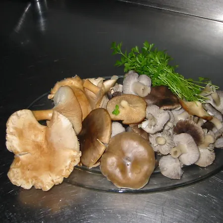 Casa Fuente Del Val * Prádanos de Ojeda