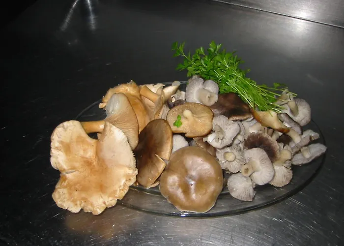 Casa Fuente Del Val * Prádanos de Ojeda